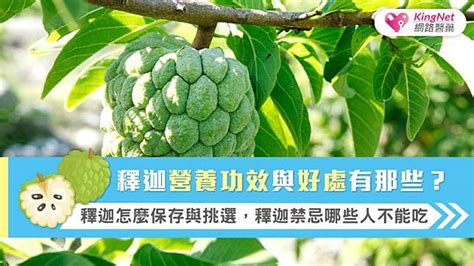 釋迦功效|釋迦營養功效與好處有那些？釋迦怎麼保存與挑選，釋。